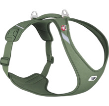 Grünes Hunde-Brustgeschirr mit verstellbaren Gurten.