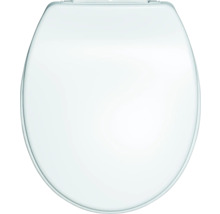 Toilettendeckel aus Kunststoff
