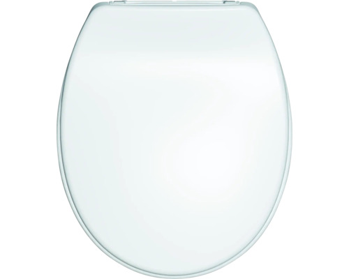 Toilettendeckel aus Kunststoff