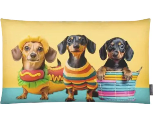 Dekokissen Dackel Hot Dog bunt 30x50 cm Dekokissen mit Dackel Motiv