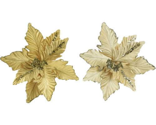 Zwei goldfarbene Weihnachtssternblüten als Christbaumschmuck