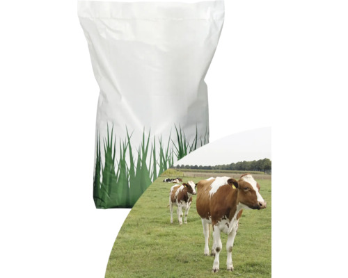 Weidemischung GII mit Klee Kiepenkerl 10 Kg 2.500 m² Futtermittel-Sack mit Weide im Hintergrund