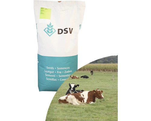 Weidemischung Kiepenkerl Standard GV Nachsaat 10 kg 5.000 m² DSV Saatgut Sack mit Weizenähre Logo und Kühen auf einer Wiese