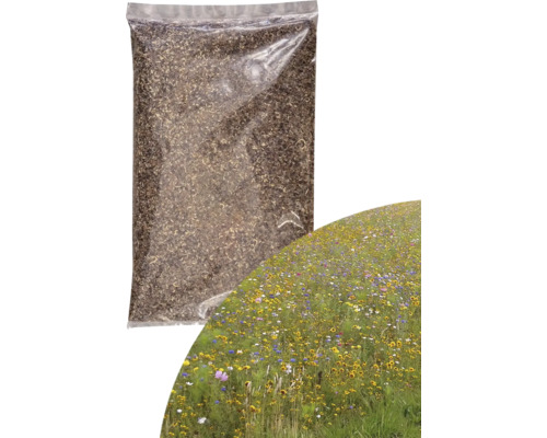 Blumenwiesensamen Kiepenkerl Karnevalsmischung 1 kg 200 m² Blumensamenpackung vor einem Feld mit Wildblumen