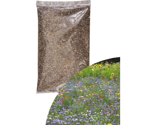 Blumenwiesensamen Kiepenkerl Insektenparadies 1 kg 125 m² Packung Blumensamenmischung für eine Blumenwiese