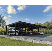 Carport mit mehreren Autos in einem Garten