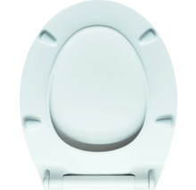 Toilettensitz von oben