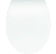 Toilettendeckel aus Kunststoff