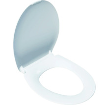 Toilettendeckel aus Kunststoff
