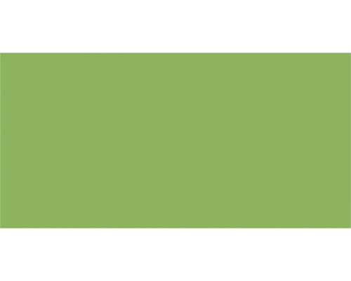 Steingut Wandfliese 19,8 x 39,8 cm grün matt Einfarbiger Hintergrund