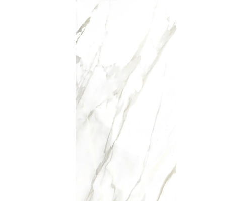 Feinsteinzeug Wand- und Bodenfliese Wandfliese CAVE grey matt 60,5 cm x 121 cm x 0,9 cm rektifiziert Feinsteinzeug Wand- und Bodenfliese Wandfliese CAVE grey matt 60,5 cm x 121 cm x 0,9 cm rektifiziert