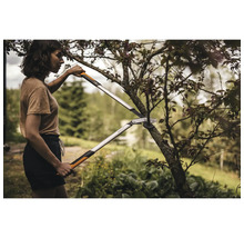 Frau schneidet Baum mit einer Getriebeastschere