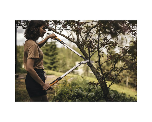 Frau schneidet Baum mit einer Getriebeastschere