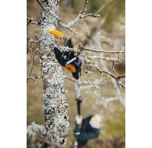 Astschneider in Aktion beim Beschneiden eines Baumes