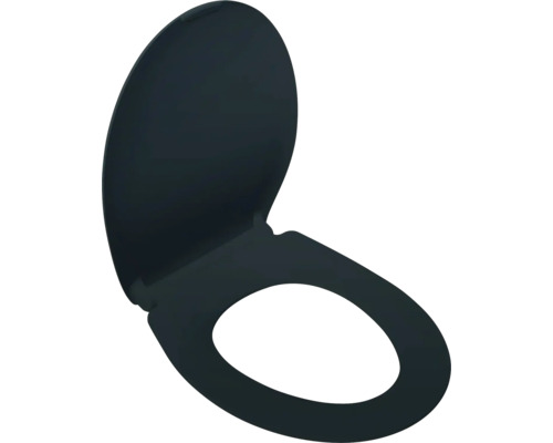 Toilettendeckel aus Kunststoff