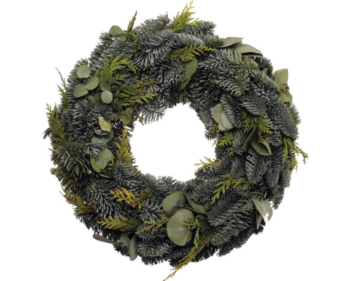 Adventskranz mit Eukalyptus Nobiliskranz ca. Ø 30 cm,Tellerkranz frisch gebunden, echte Konifere Dekorativer Tannenkranz mit Eukalyptus für weihnachtliche Dekoration
