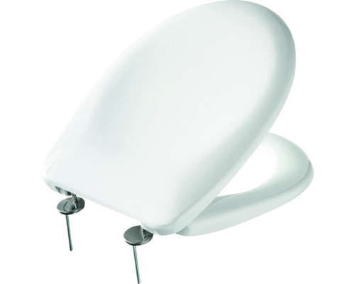 Toilettensitz mit Befestigungsmaterial