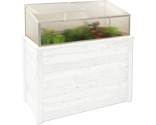 Hochbeet mit transparentem Frühbeetaufsatz und Bepflanzung