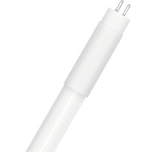 Leuchtstoffröhre mit Stiftsockel