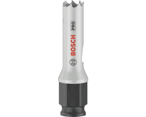 Bosch Pro Lochsäge