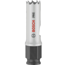Bosch Logo Lochsäge