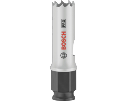 Bosch Logo Lochsäge