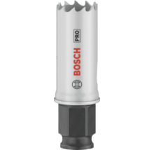 Bosch Pro Lochsäge