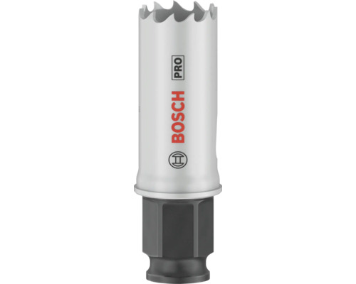 Bosch Pro Lochsäge