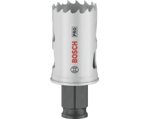 Bosch Logo Lochsäge
