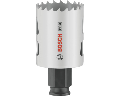 Bosch Lochsäge Pro