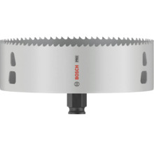 Bosch Pro Lochsäge