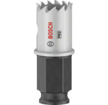 Bosch Logo Lochsäge mit Aufnahme