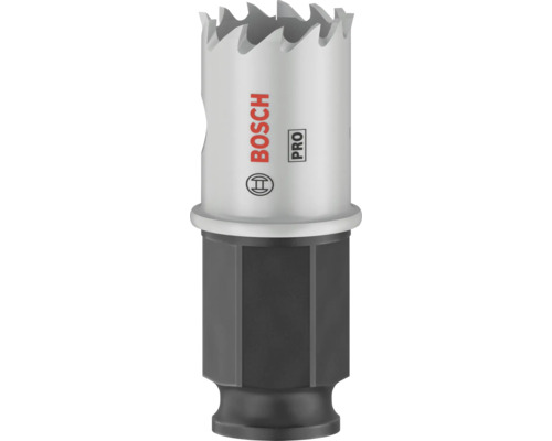 Bosch Logo Lochsäge mit Aufnahme