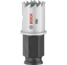 Bosch Lochsäge
