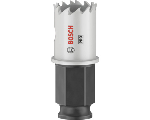 Bosch Lochsäge