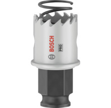 Bosch Logo Lochsäge mit Auswurf Feder