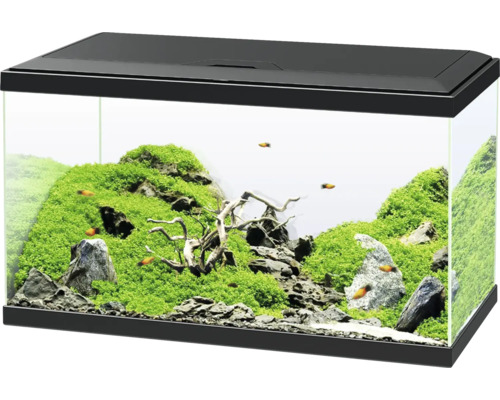 Aquarium Set Ciano inkl. Abdeckung LED Beleuchtung Filtersystem inklusive Umwälzpumpe Heizer/Heizstab Innenfilter, schwarz, ca. 60 x 30 x 33,5 cm ca. 58 L (ohne Unterschrank) Eingerichtetes Aquarium mit Pflanzen, Steinen, Wurzelholz und Fischen
