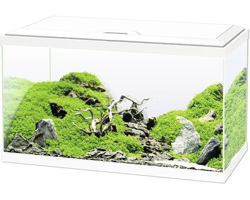 Aquarium Set Ciano inkl. Abdeckung LED Beleuchtung Filtersystem inklusive Umwälzpumpe Heizer/Heizstab Innenfilter, weiß, ca. 60 x 30 x 33,5 cm ca. 58 L (ohne Unterschrank) Dekoratives Aquarium mit Steinen, Moos und Holzwurzeln
