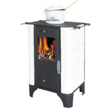 Kaminofen mit Kochplatte und brennendem Holz
