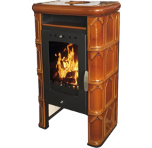 Kaminofen mit Sichtfenster und Holzfeuer