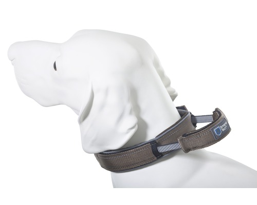 Halsband ArmoredTech Dog Control Gr. XL 51 - 60 cm mocca Hundehalsband am Hundehals