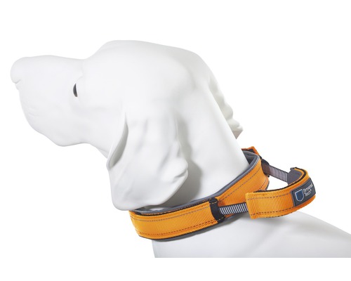 Halsband ArmoredTech Dog Control Gr. XL 51 - 60 cm orange Orangefarbenes Hundehalsband am Hals einer Hundepuppe