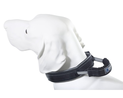 Halsband ArmoredTech Dog Control Gr. XL 51 - 60 cm schwarz Schwarzes Hundehalsband am Hals einer Hundefigur