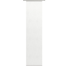 Roll-Up Display für Präsentationen und Werbung