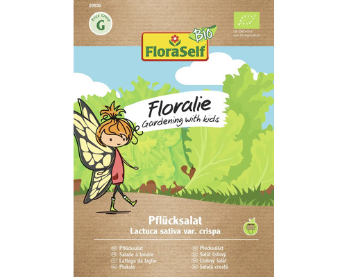 Schnittsalat/Pflücksalat Pflücksalat Floraself Floralie & Flo Samenfestes Saatgut Gemüsesamen Schnittsalat/Pflücksalat Pflücksalat Floraself Floralie & Flo Samenfestes Saatgut Gemüsesamen
