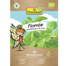 Feldsalat Vit Floraself Floralie & Flo Hybrid-Saatgut Gemüsesamen