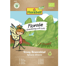 Spinat Vroeg Reuzenblad Floraself Floralie & Flo Samenfestes Saatgut Gemüsesamen