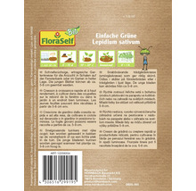 Kresse Einfache Grüne Floraself Floralie & Flo Samenfestes Saatgut Kräutersamen