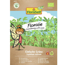 Kresse Einfache Grüne Floraself Floralie & Flo Samenfestes Saatgut Kräutersamen