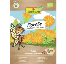 Ringelblume Nova Floraself Floralie & Flo Samenfestes Saatgut Blumensamen